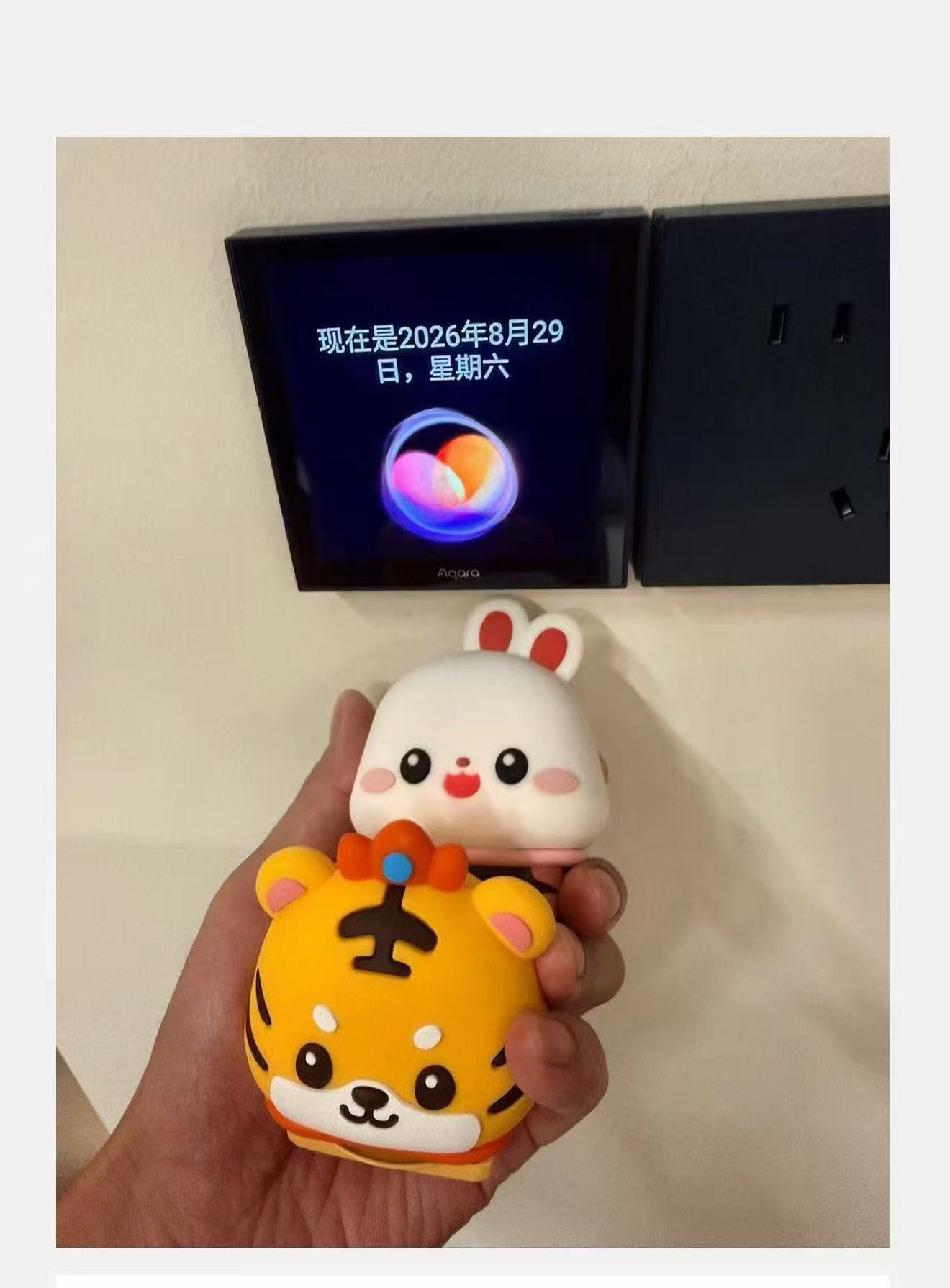 8月29日报平安：手持小兔子和小老虎玩偶，身后墙上的屏幕显示现在是2026年8月29日星期六