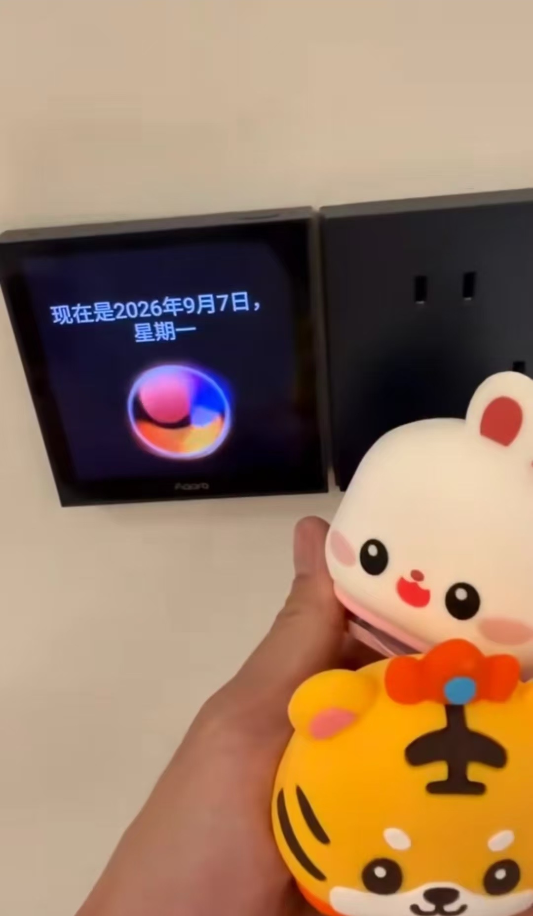 9月7日报平安：手持小兔子和小老虎玩偶，身后墙上的屏幕显示现在是2026年9月7日星期一